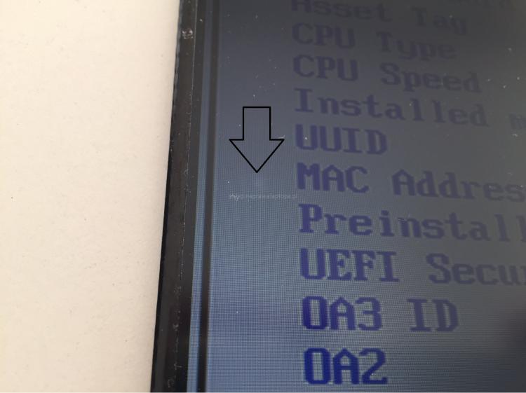 Clipboard_02-11-2026_01.jpg