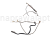 IMG_3943.png