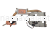 IMG_4072.png