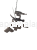 IMG_4088.png